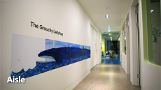 bluespringshead__img/center__22__10