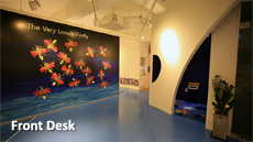 bluespringshead__img/center__22__2